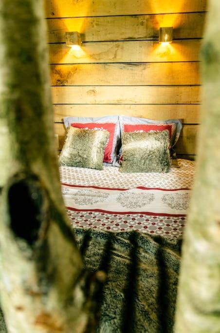 La Cabane Du Cerf Et Son Sauna Attre ภายนอก รูปภาพ